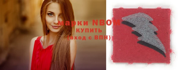 прущая мука Богородицк