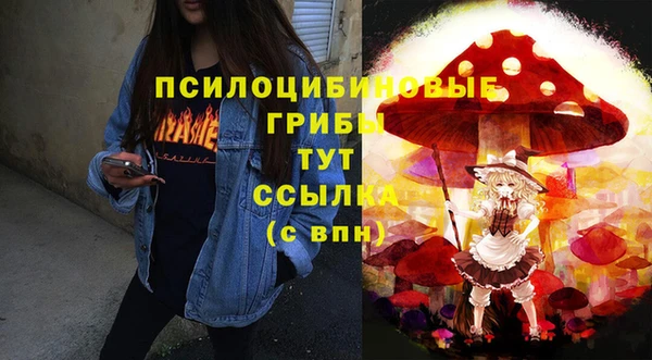 гидра Богородск