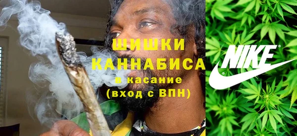 прущая мука Богородицк