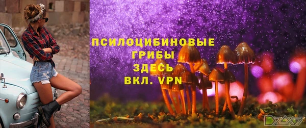 гидра Богородск