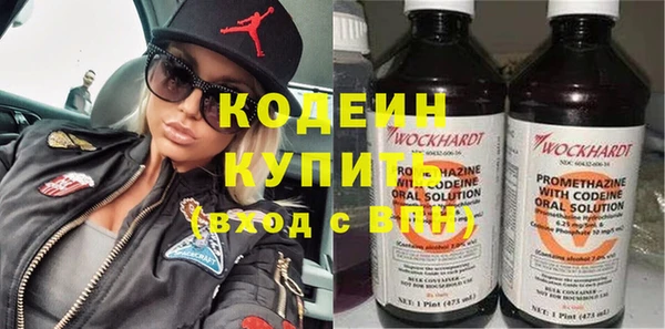 гидра Богородск