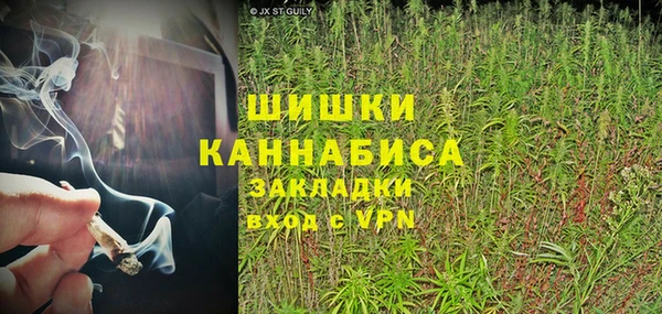 гидра Богородск