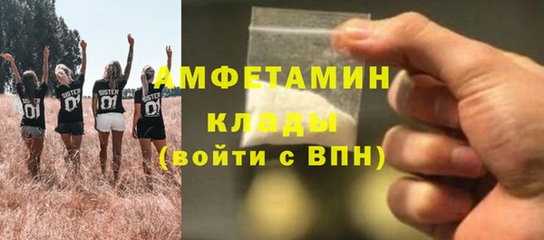 гидра Богородск