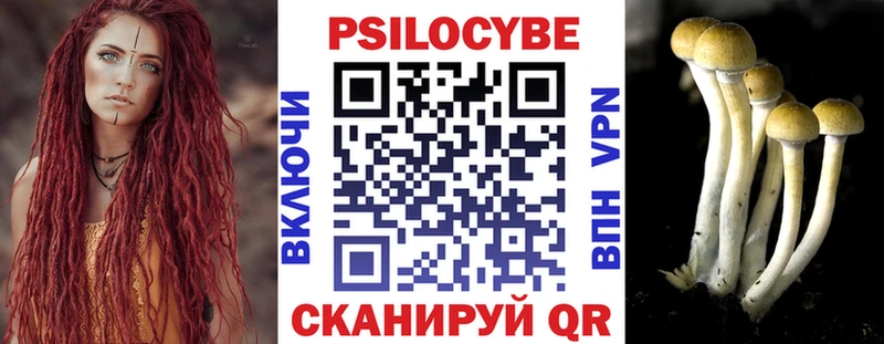 Псилоцибиновые грибы Psilocybe  mega ссылки  Симферополь 